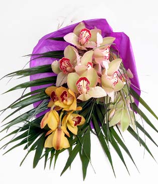 1 adet dal orkide etkili , k , grsel bir buket iek olarak - sevenlere zel iek