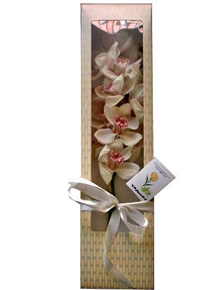 pzel sevgi iek tanzimi - kutuda sade k sevdiklerinize zel 1 adet dal orkide Ankara ieki maazas